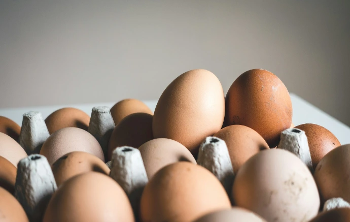 shallow focus photography of brown eggs